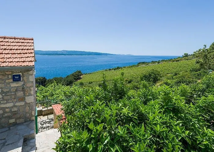 Vineyard Cottages - Murvica